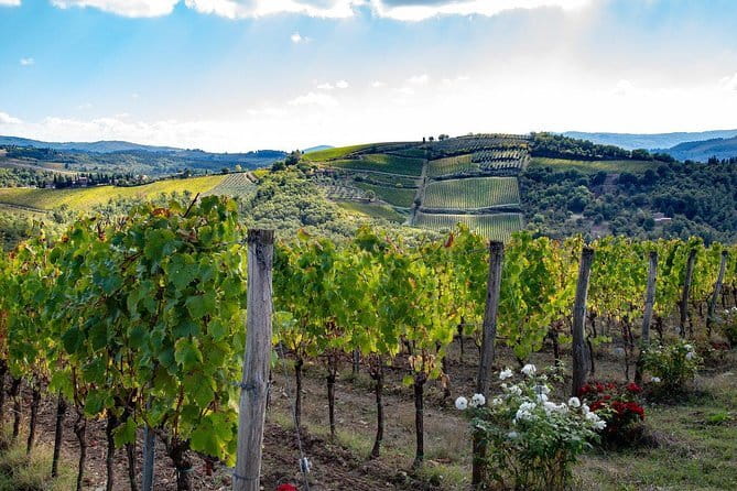 SMALL-GROUP Wine Safaris: Tuscan Wine Tasting Tours from Florence - A 4x4 route into Tuscan wine country