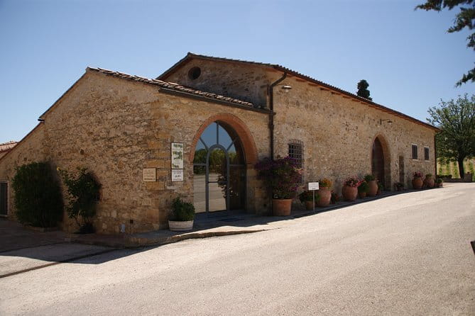Small-Group Wine Tasting Experience in the Tuscan Countryside - First stop: vineyard, production rooms, and a tasting