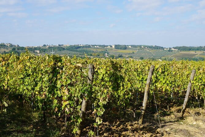 Super Chianti 2 wineries & meat feast @ Dario Cecchini—max 8 pp - At Casa Erta, wine starts with the place