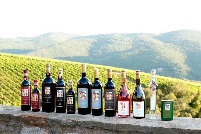Tour and Tasting at an Organic Winery in the Heart of Chianti Classico Area - At a glance