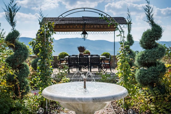 Tour and Tasting at an Organic Winery in the Heart of Chianti Classico Area - A generous tasting with Tuscan snacks