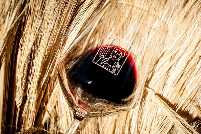 Tour and Tasting at an Organic Winery in the Heart of Chianti Classico Area - What the two-hour format gives you