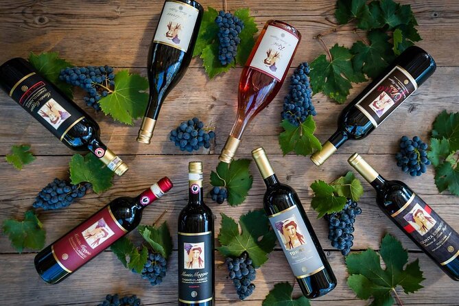 Tour and Tasting at an Organic Winery in the Heart of Chianti Classico Area - Reaching Montemaggio without a wrong turn