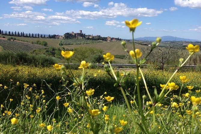 Tuscany Bike Tours Through the Chianti Hills with Wine Tasting - Booking and practical details
