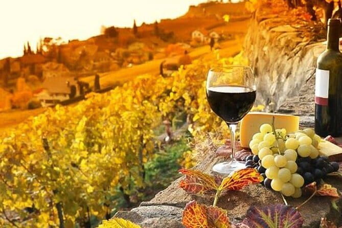 Tuscany Day Trip from Florence: Siena, San Gimignano, Pisa and Lunch at a Winery - Who will get the best value from this trip