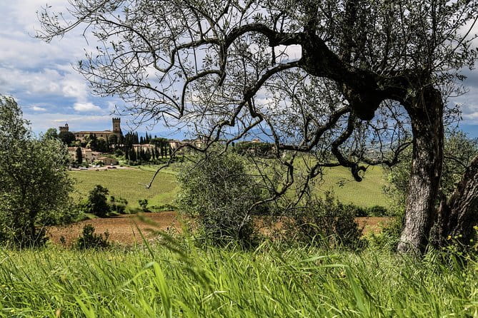 Tuscany E-Bike Tour: from Florence to Chianti with lunch and tastings - Who should book this Chianti e-bike tour?