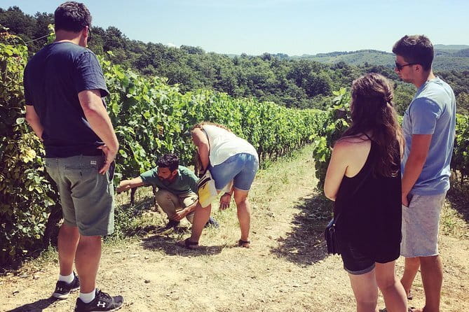 Tuscany Vespa Tours Through the Hills of Chianti - Should you book the Tuscany Vespa tour?