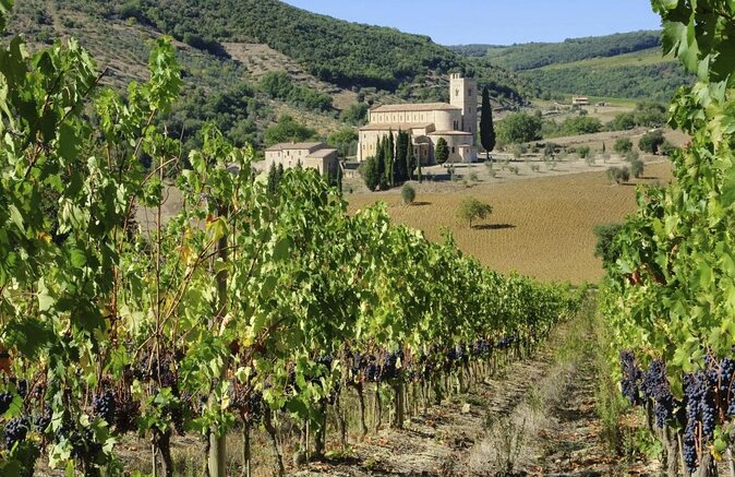 Val d'Orcia Brunello Wine Tour with Montalcino and Montepulciano - A full Tuscan day, starting in Florence