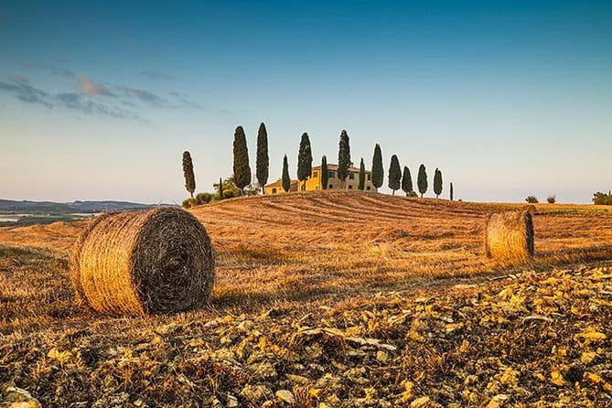 Walking Food Tour of Florence with Tastings and Wine - Should you book it?