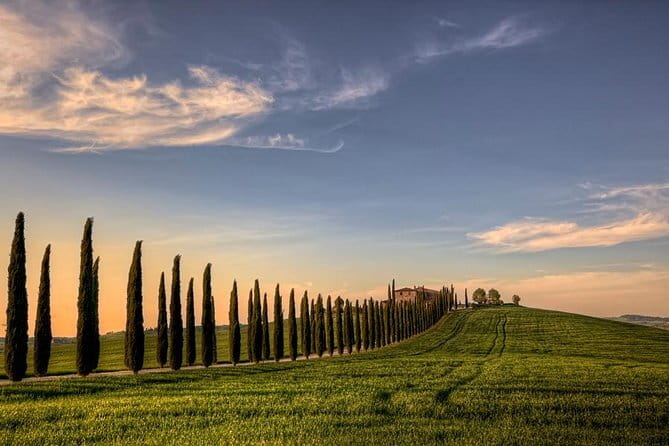 Wine Experience In Chianti Hills from Florence - What you learn, and what the tour does not promise