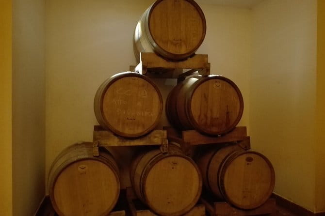 Wine Experience In Chianti Hills from Florence - Who will enjoy this afternoon most